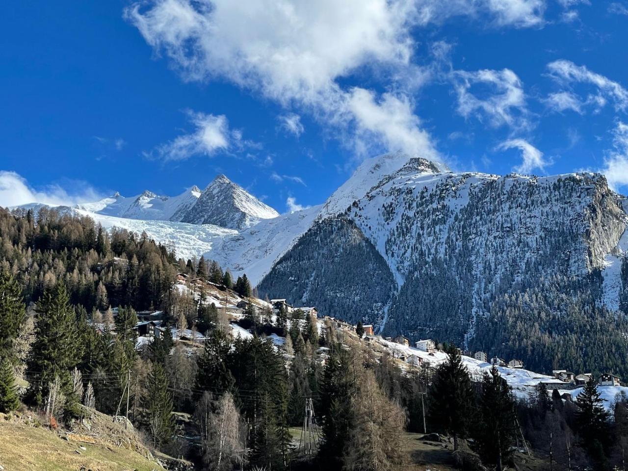 Mountain Lodge Grächen Εξωτερικό φωτογραφία